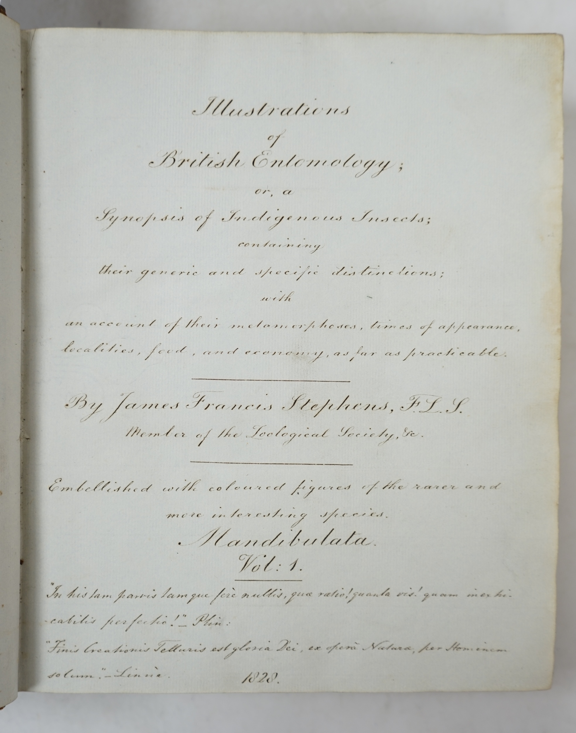 Stephen, James Francis - Illustrations of British Entomology ... A Manuscript Copy, in six volumes, of vols. 1-4 (part 2) of the original work, which was published in 12 vols (1828-1846).